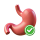 Probióticos y Digestivos