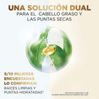 ACONDICIONADOR PANTENE EQUILIBRIO RAIZ&PUNTAS TUBO 250 ML