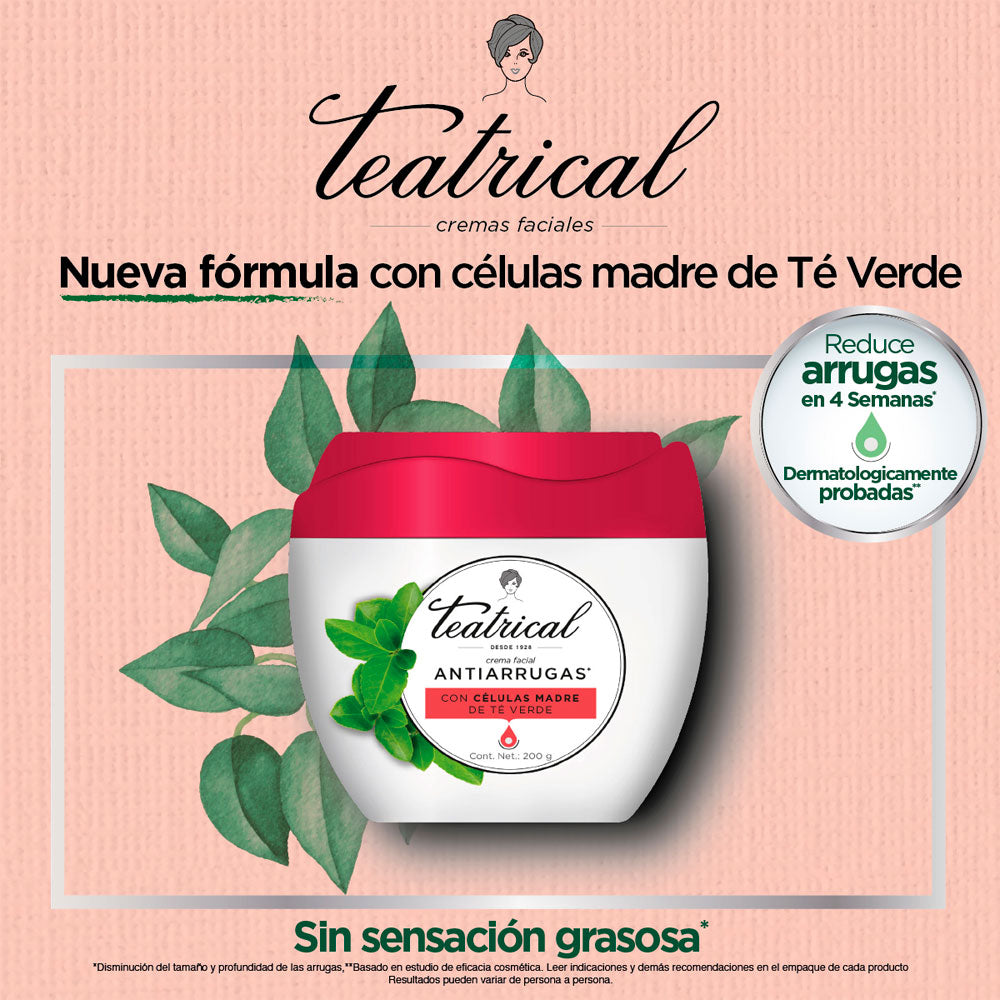 ANTIARRUGAS TEATRICAL POTE 100 G