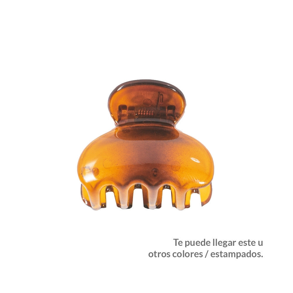 CAIMAN SHOCK VIENNA MEDIANO CAFE X 1 UND