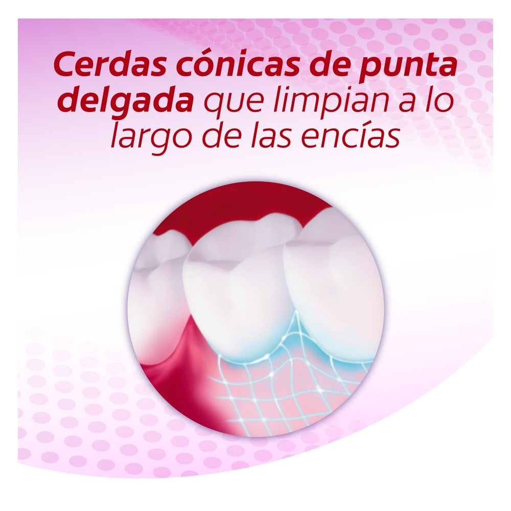 CEPILLO DENTAL COLGATE ENCIAS TERAPHY SUAVE X 2 UNDS