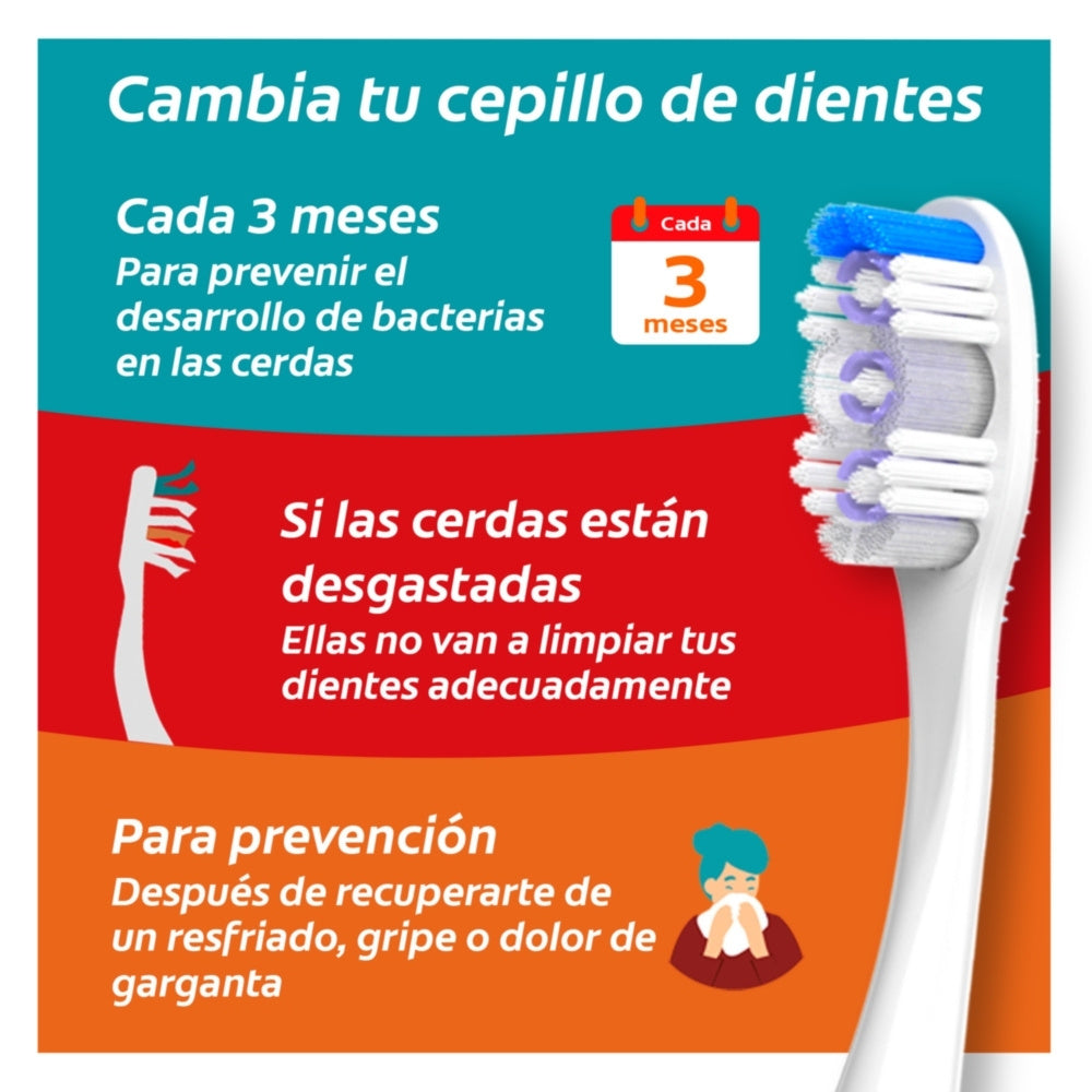 CEPILLO DENTAL COLGATE EXTRA CLEAN MEDIO X 3 UND