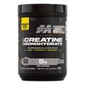 CREATINA PLATINUM 90 SERV POTE 450 G