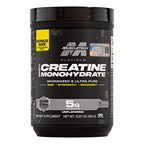 CREATINA PLATINUM 90 SERV POTE 450 G