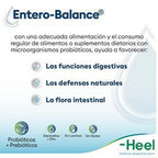 ENTERO-BALANCE MEDIBIOTIX POLVO CAJA X 10 SOBRES