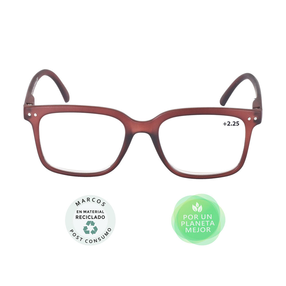 GAFAS DE LECTURA ZOOM SENIOR 225 X 1 UND