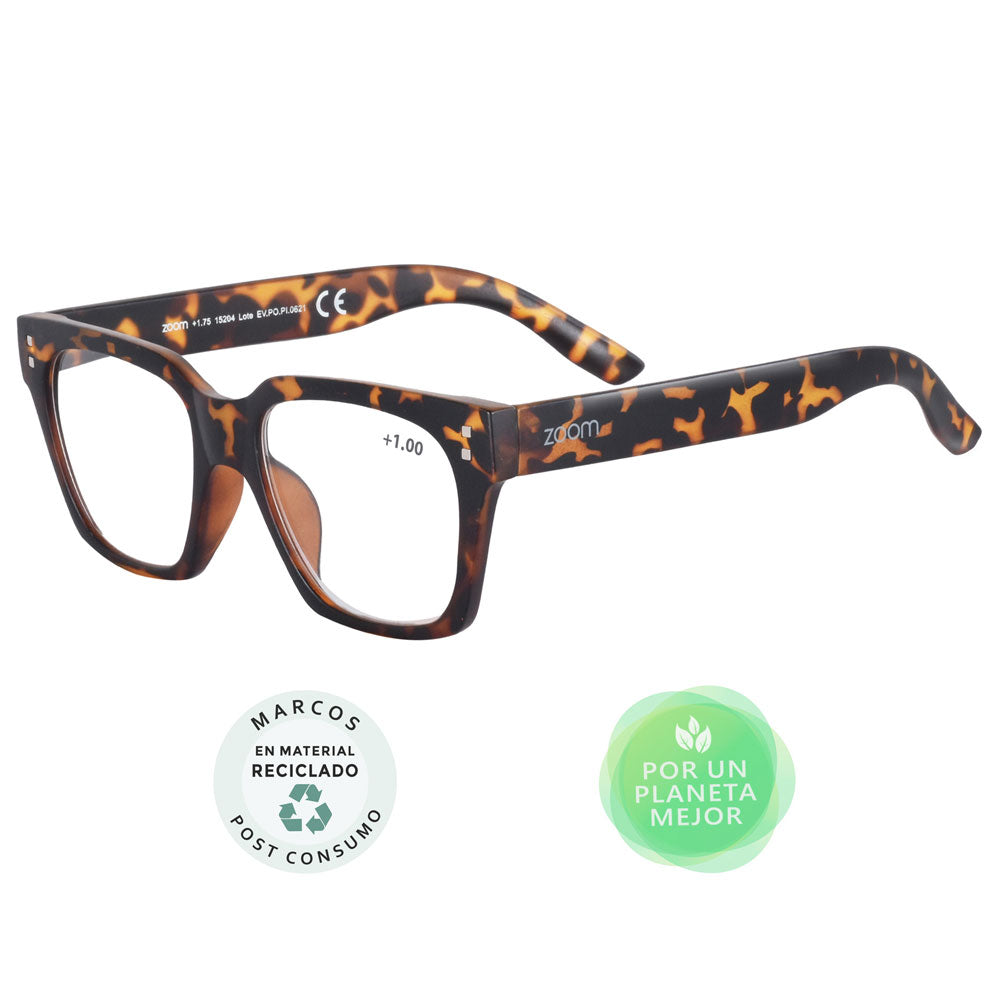 GAFAS DE LECTURA ZOOM STYLE 100 X 1 UND