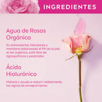 GEL-CREMA NIVEA AGUA DE ROSAS CAJA 50 ML