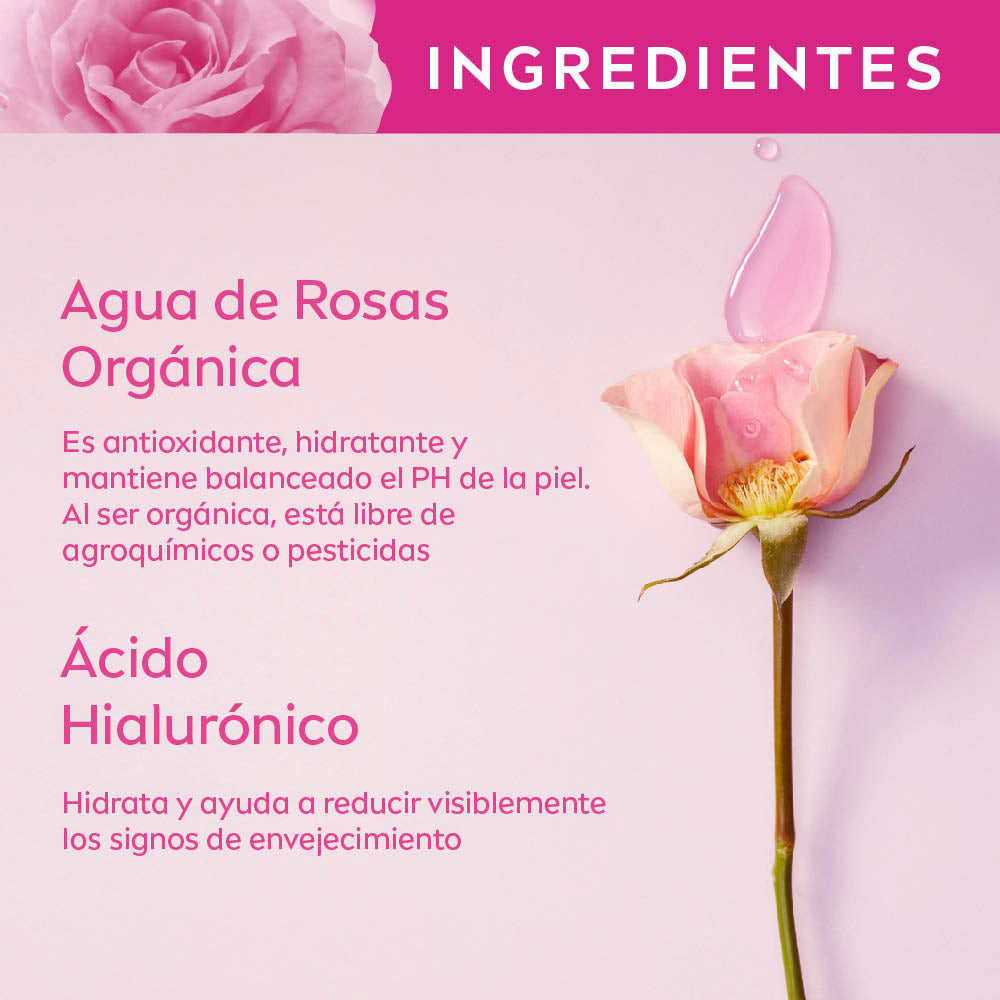 GEL-CREMA NIVEA AGUA DE ROSAS CAJA 50 ML