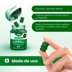 GOMAS THE GUMMY BOX ASHWAGANDHA MENTA FRASCO X 60 UNDS