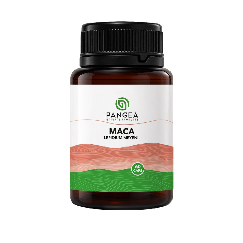 MACA PANGEA CAPSULAS FRASCO X 60 UNDS