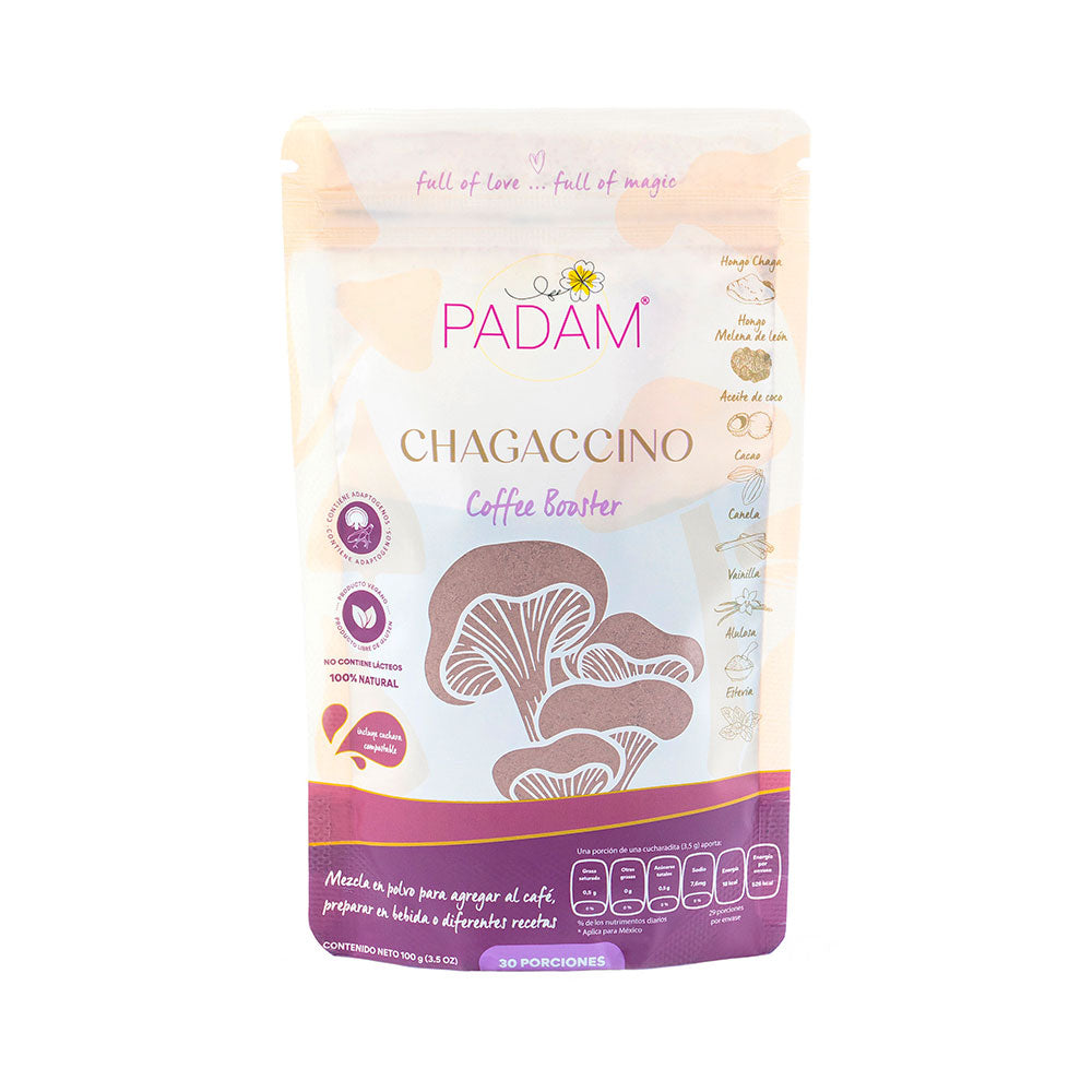 PADAM CHAGACCINO POLVO DOYPACK 100 G