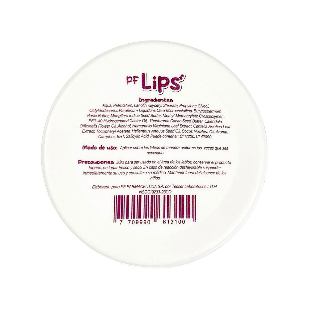PF LIPS BALSAMO LABIAL UVA POTE 10 G