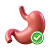 Probióticos y Digestivos