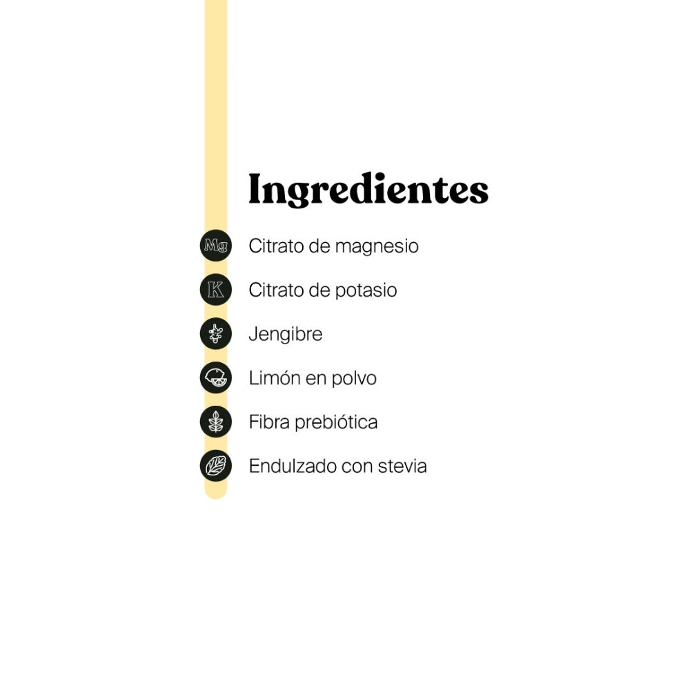 SAVVY GREAT DAY 30 SOBRES LEMON GINGERINE DOYPACK 180 G