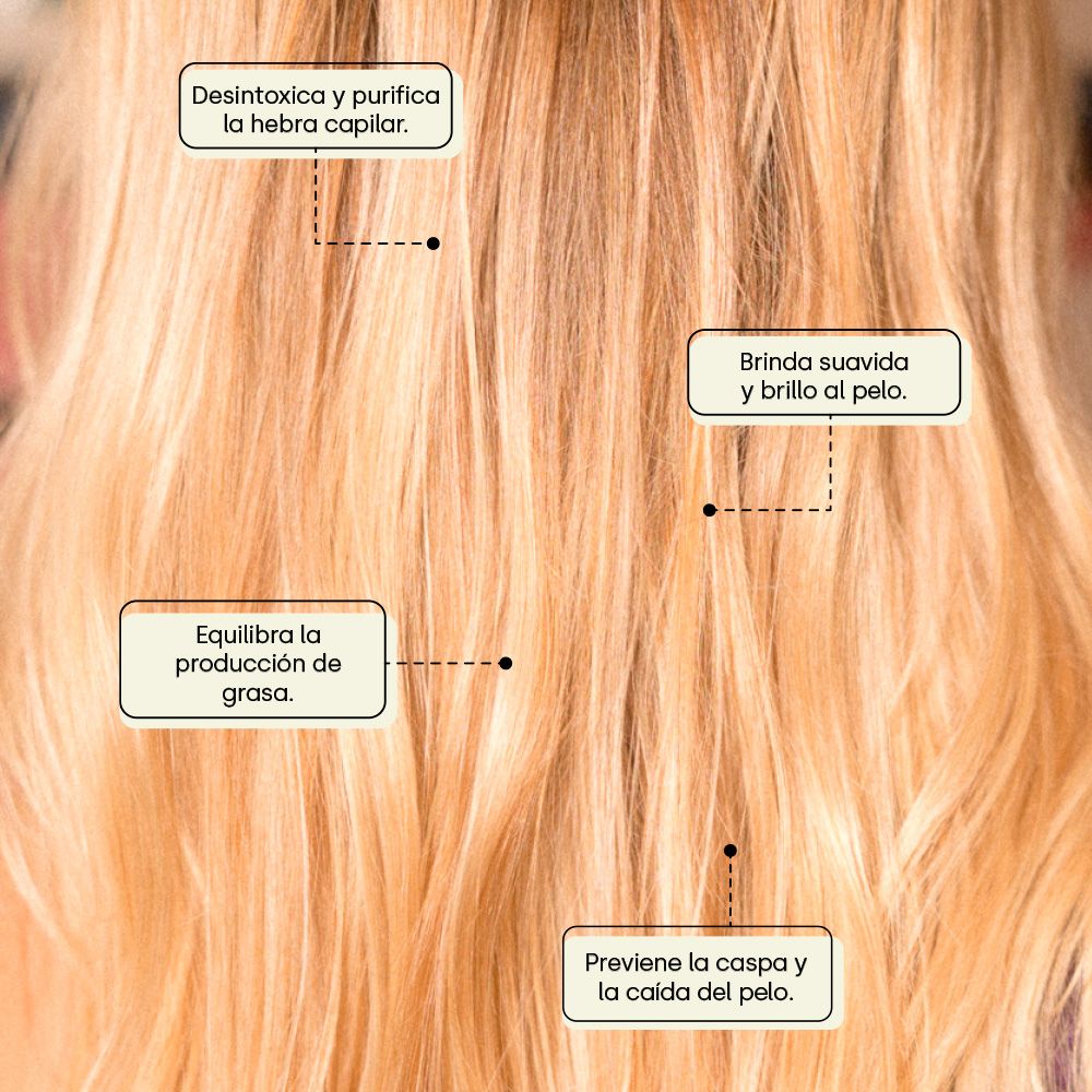 SHAMPOO ELE PURIFICANTE DETOX FRASCO 300 ML