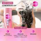 SHAMPOO SEDAL LUMINOSO UV FRASCO 340 ML