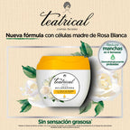  TEATRICAL ACLARADORA POTE 100 G