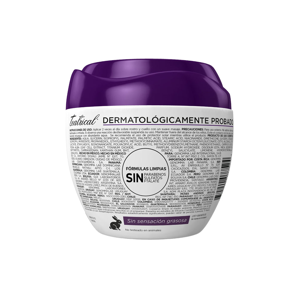 TEATRICAL COREANA CREMA HIDRATANTE POTE 100 G