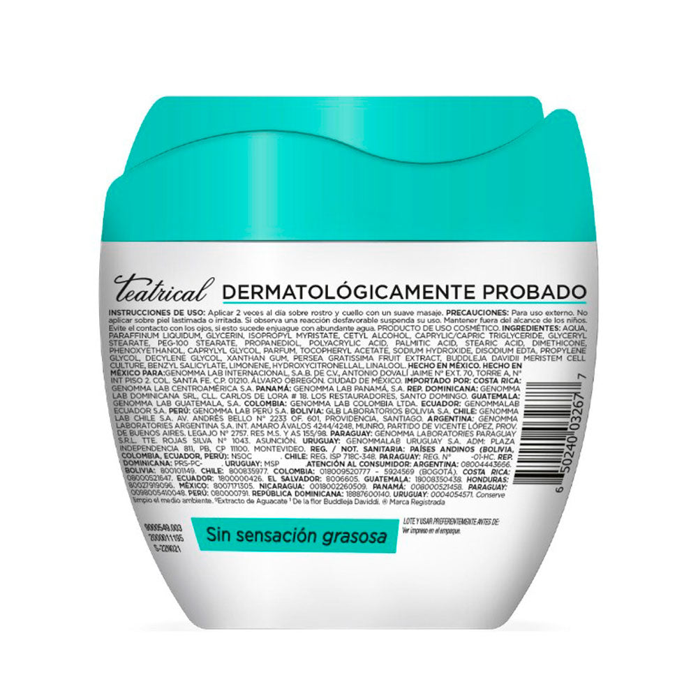  TEATRICAL HUMECTANTE POTE 100 G