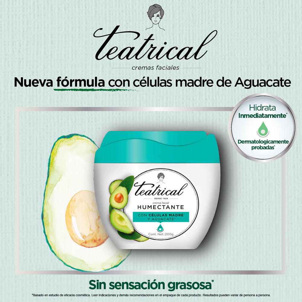  TEATRICAL HUMECTANTE POTE 100 G