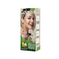 TINTURA COLORISS 9.21 RUBIO NAC.CENIZO CAJA 50 G