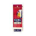 TINTURA IGORA VITAL 8-1 RUBIO CLARO CENIZO CAJA 50 ML
