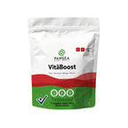 VITA BOOST PANGEA POLVO DOYPACK X 20 SOBRES